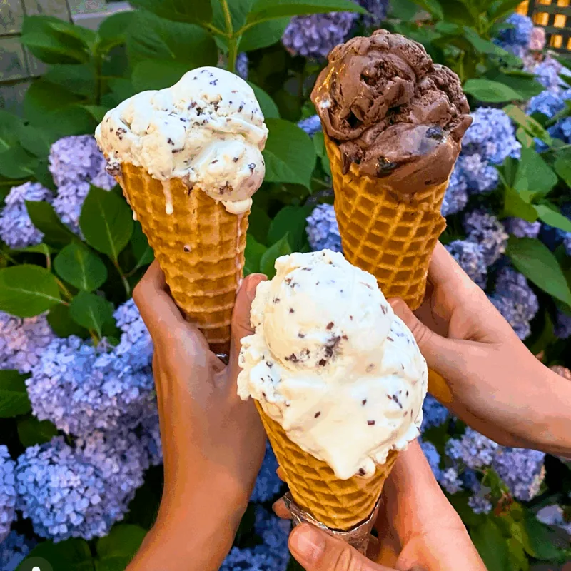 Jack and Charlie's Nantucket food
